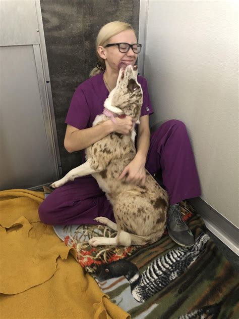ninnescah vet